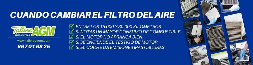 Filtro del aire - Reparaciones coche